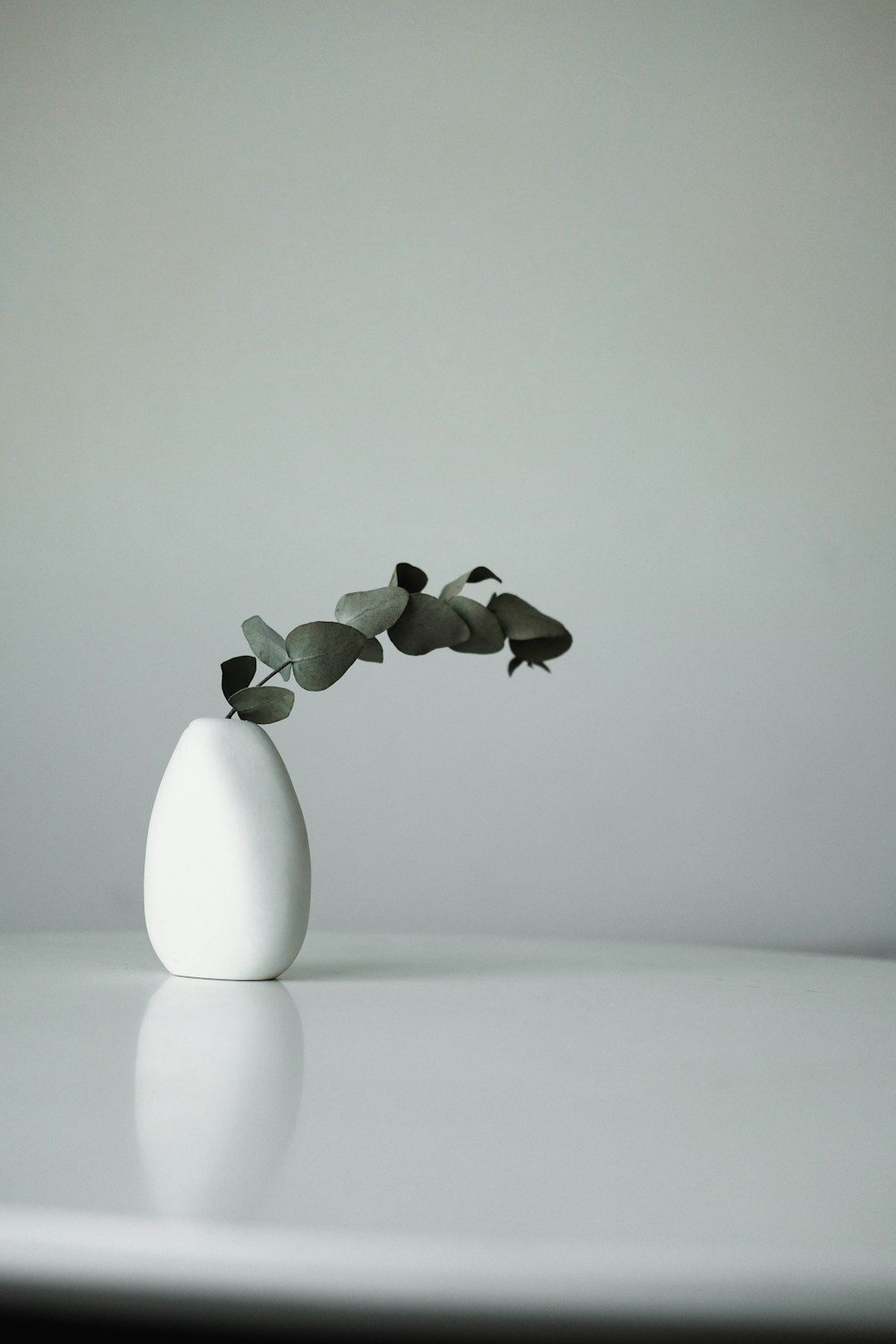 Vases and Planters